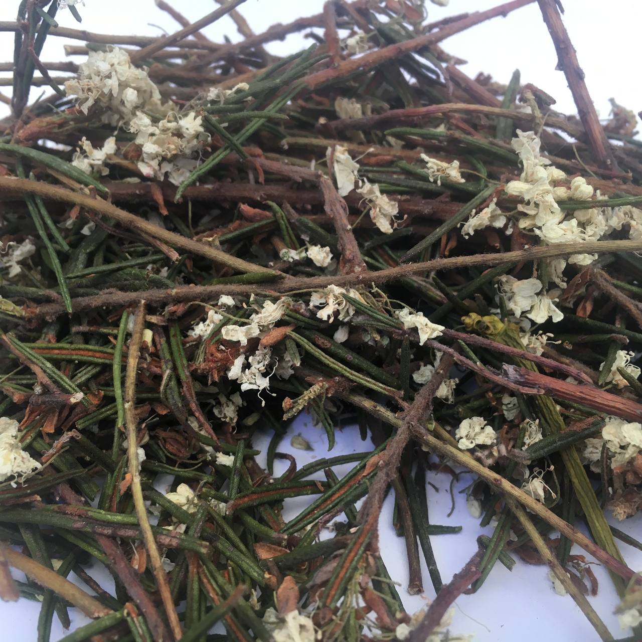 Багульник болотный Карпаты 50 г (628c7c51c368d325ee3d78a2)