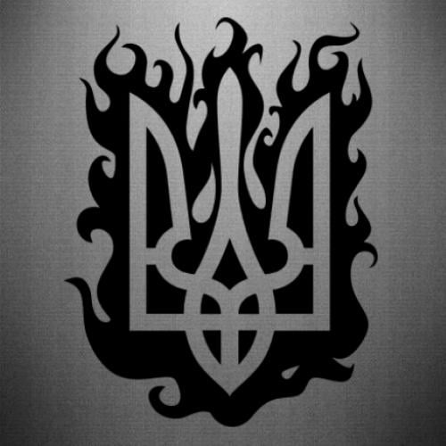 Наклейка Пламенный Герб 15,3x20 см Черный (21558746)