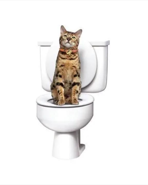 Набір привчання котів до унітазу Citi Kitty Cat Toilet Training (1861542556) - фото 3