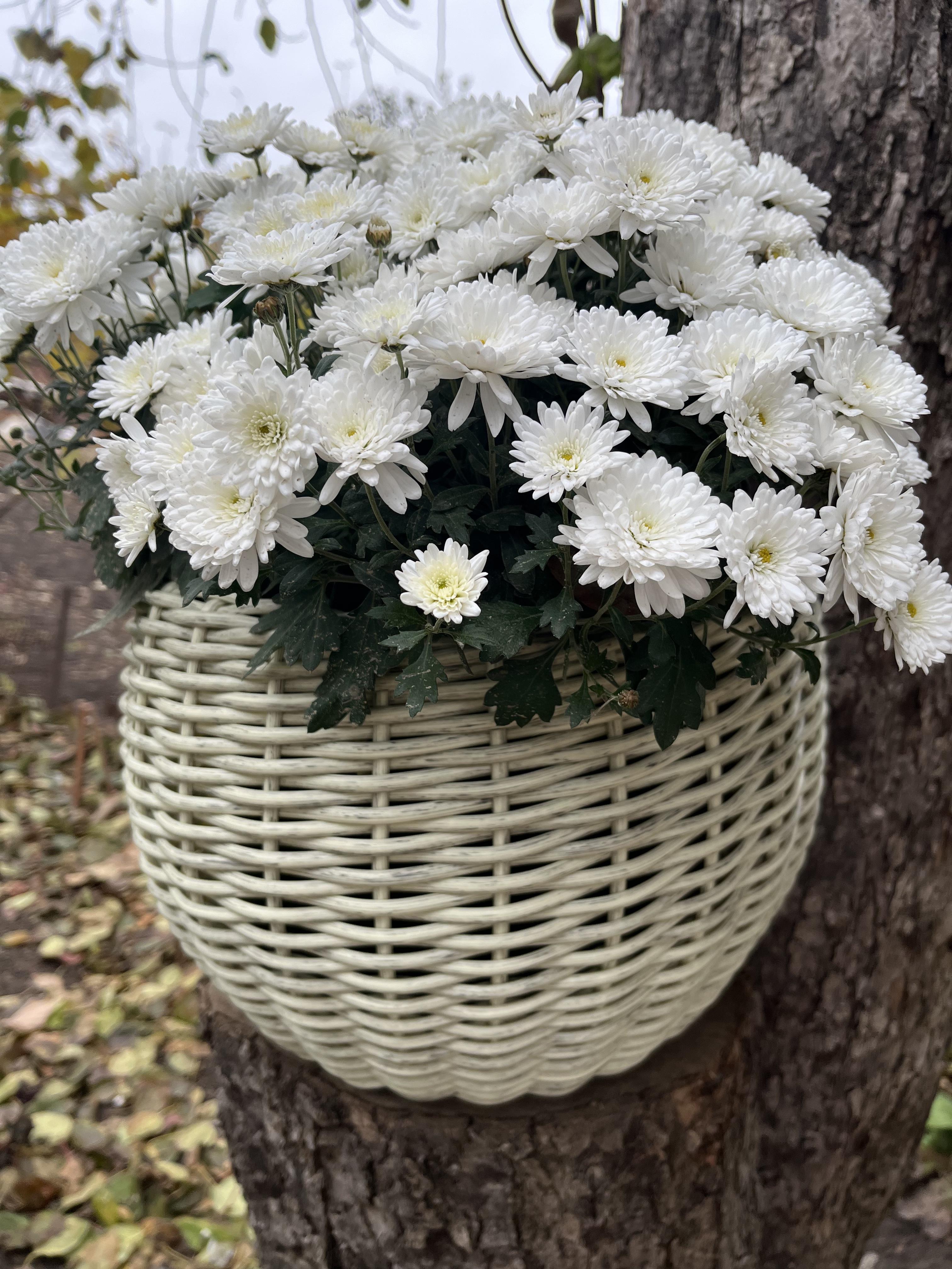 Кашпо для квітів зі штучного ротанга 12 л Слонова кістка (27919327) - фото 1 Кашпо для квітів зі штучного ротанга 12 л Слонова кістка (27919327) - фото 1