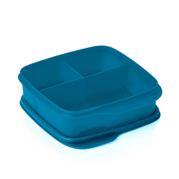 Пищевой контейнер Tupperware Школьник 550 мл (36562999) Пищевой контейнер Tupperware Школьник 550 мл (36562999)