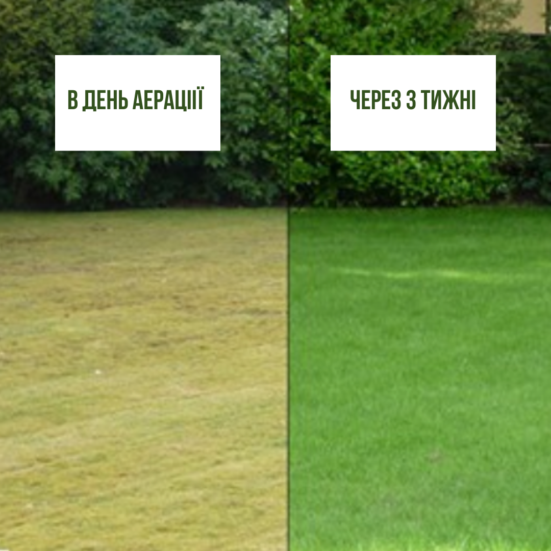 Аэратор для дачи и газона HECHT 1739 электрический (HTC-1739) - фото 9 Аэратор для дачи и газона HECHT 1739 электрический (HTC-1739) - фото 9