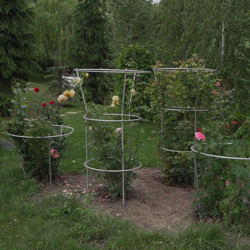 Опора для рослин кільцева на три кільця 1700х800х800 мм (КО-D16/D13-1700*800/600/600) - фото 4 Опора для рослин кільцева на три кільця 1700х800х800 мм (КО-D16/D13-1700*800/600/600) - фото 4