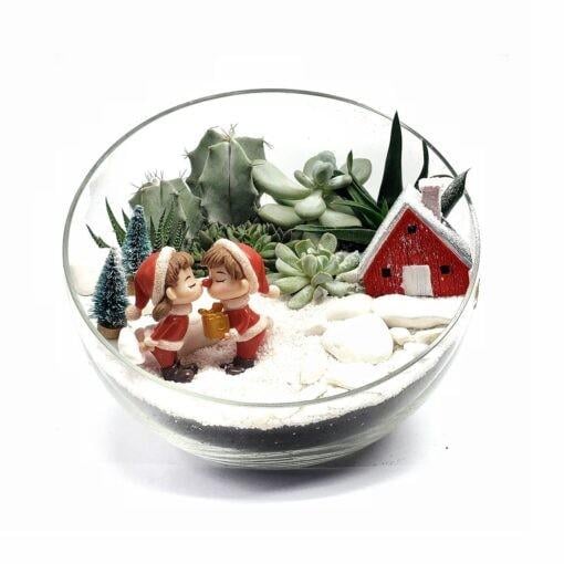 Флорариум новогодний со снегом и суккулентами Домик и пара 23 см