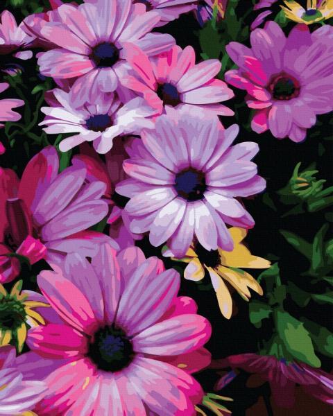 Картина по номерам Brushme Цветы Лиловые хризантемы 40х50 см в термопакете (GX36663)