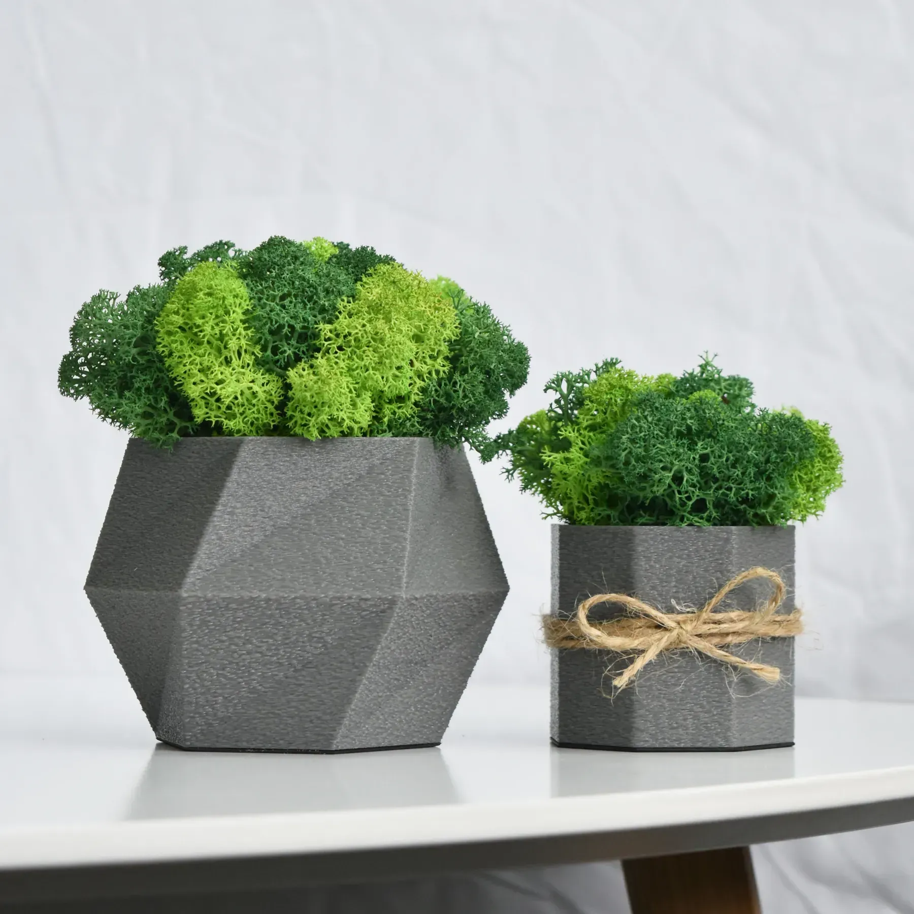 Комплект кашпо со стабилизированным мхом Ягель 2 шт. Серый/Зеленый/Салатовый (NA-S-3)