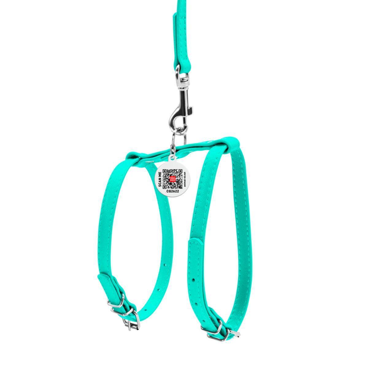 Шлея с поводком для собак Waudog Glamour с QR паспортом/кожаной 9 мм х 20-30 см х 30-40 см Ментоловый (339913 Col)