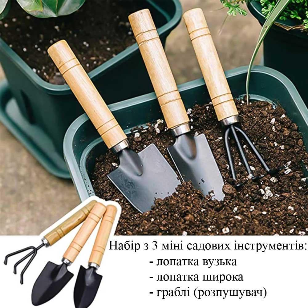 Набор мини садовых инструментов для посадки комнатных растений (NR0276) - фото 2 Набор мини садовых инструментов для посадки комнатных растений (NR0276) - фото 2