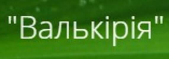 Магазин авторської косметики "Валькірія" Магазин авторської косметики "Валькірія"