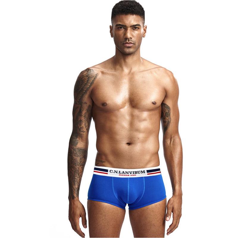 Трусы Lanvibum M Синий (7442)