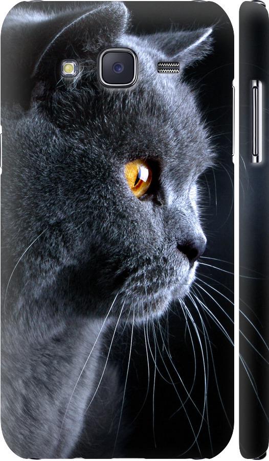 Чехол на Samsung Galaxy J5 (2015) J500H Красивый кот (3038m-100-42517)