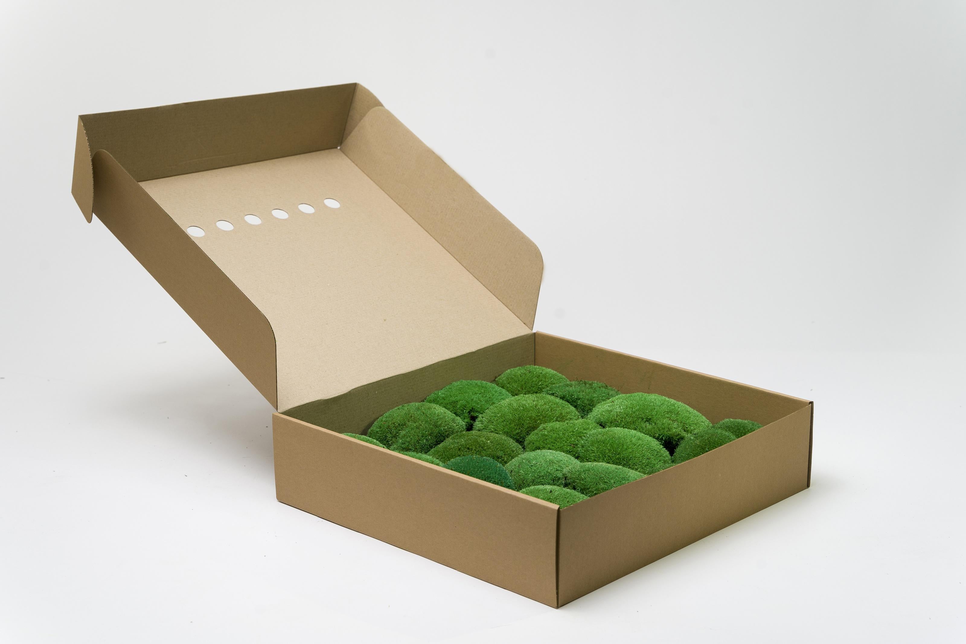 Стабилизированный мох Organic Design Кочка 0,15 м2 Nature Green (202-10)