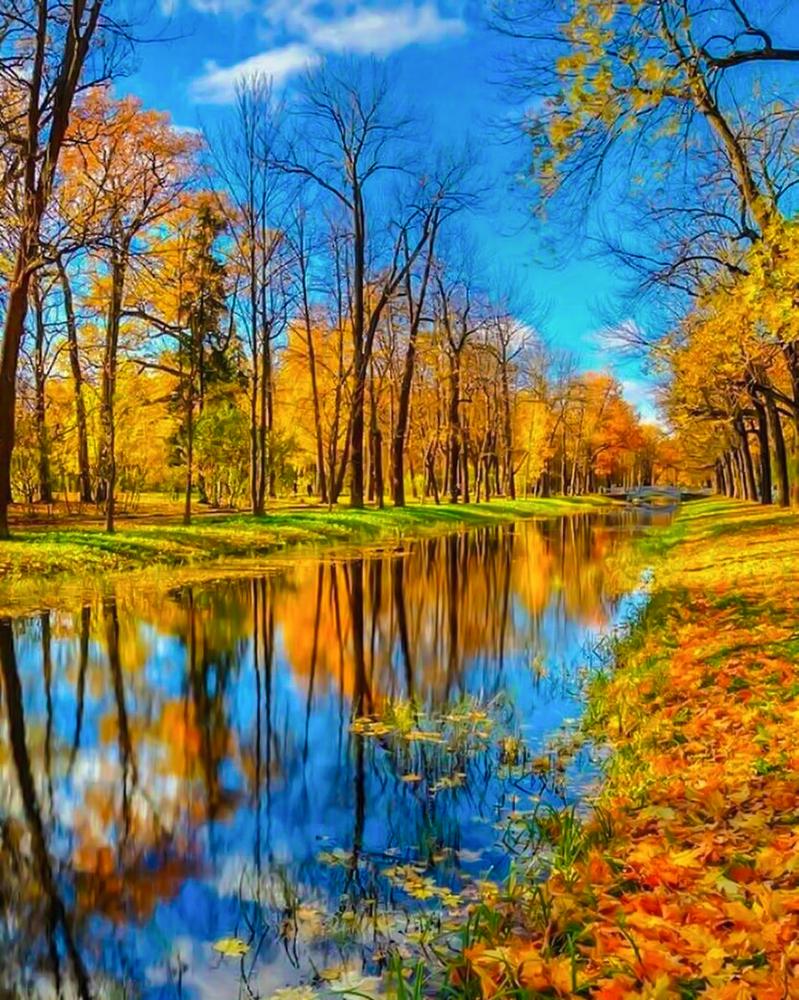 Алмазная мозаика SHLab Золотая Осень SH-27692 полная выкладка 40x50 см (27692)