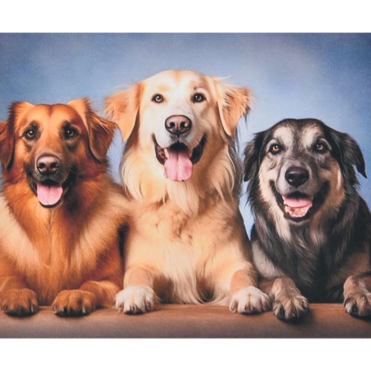 Алмазная мозаика Strateg Три верных друга 40х50 см (SK88269)