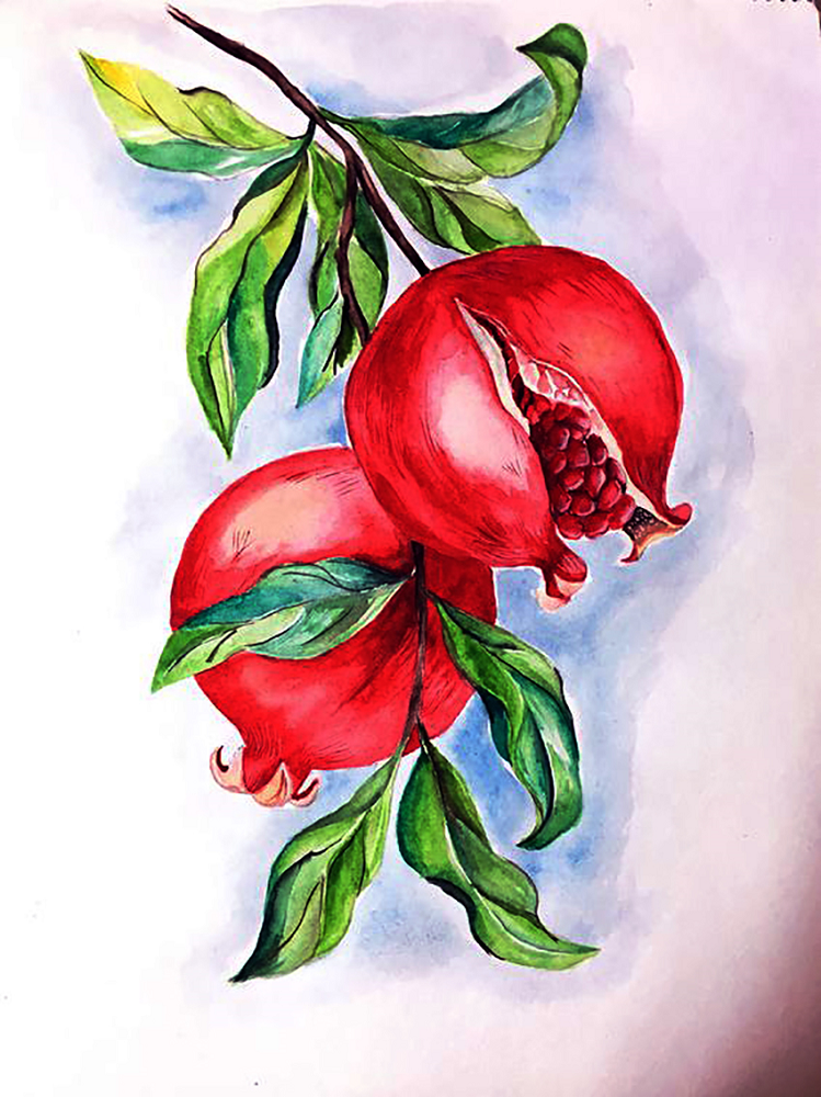 Алмазная мозаика Чарівний діамант Ветка граната 30x40 см (КДИ-1516)