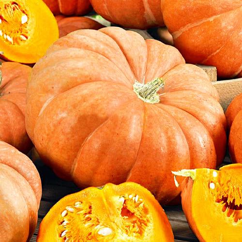 Семена Гарбуз Florium Стофунтівка пакет гігант (12217)