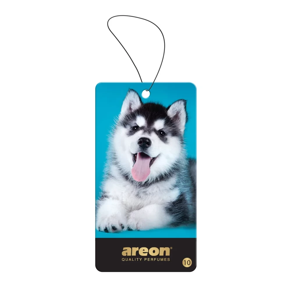 Ароматизатор на зеркало Areon Wild Ice Dog (AW10)
