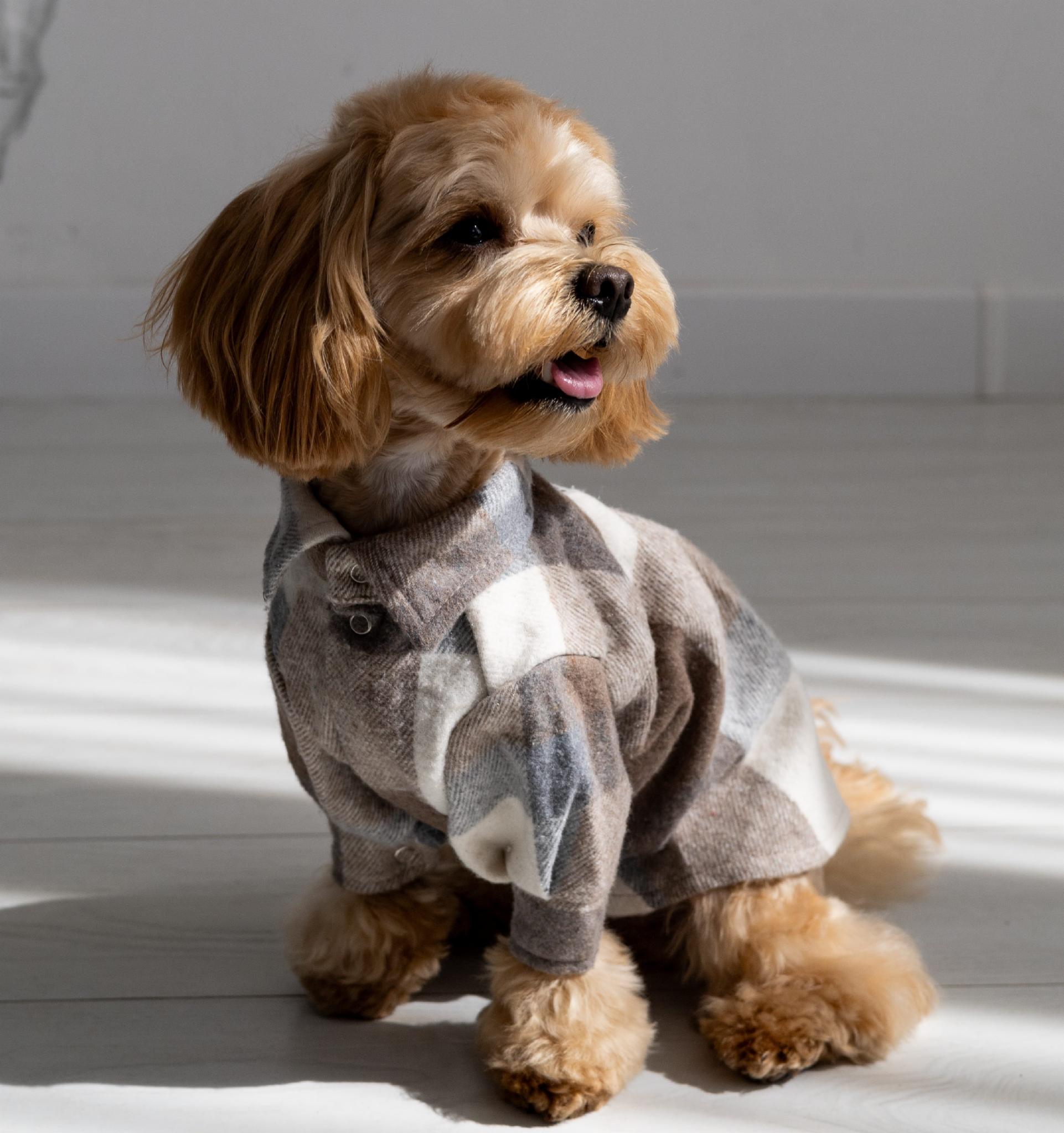 Рубашка для собак Dogs Bomba RUB-51 клетчатая р. 5 Бежевый (88626334)