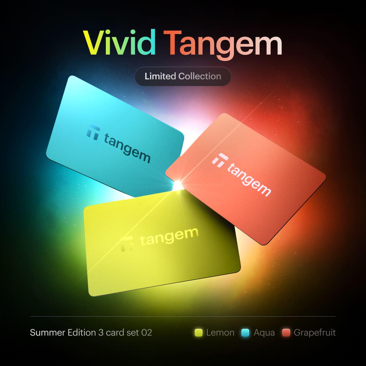 Криптокошелек Tangem Wallet 2,0 Vivid 3 шт. (TG128X3-V) - фото 3 Криптокошелек Tangem Wallet 2,0 Vivid 3 шт. (TG128X3-V) - фото 3