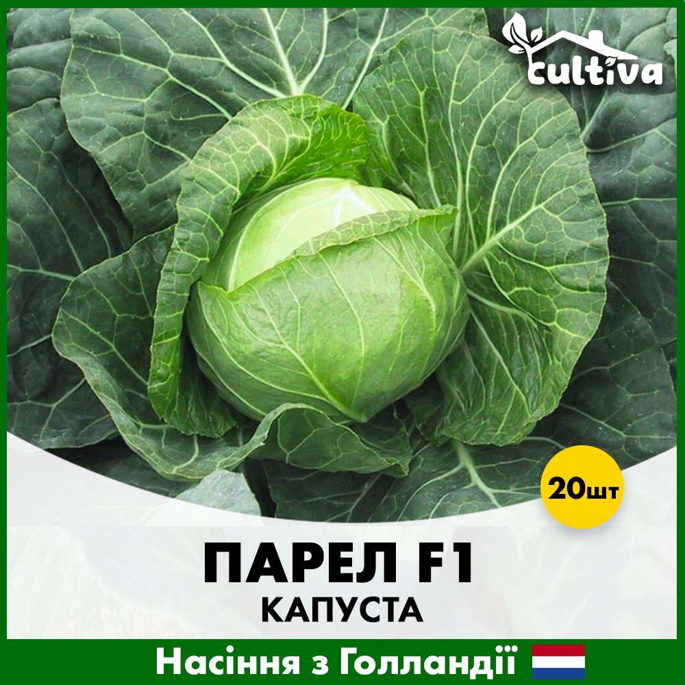 Семена капусты Bejo Белоголова Парел F1 20 шт. (00150)