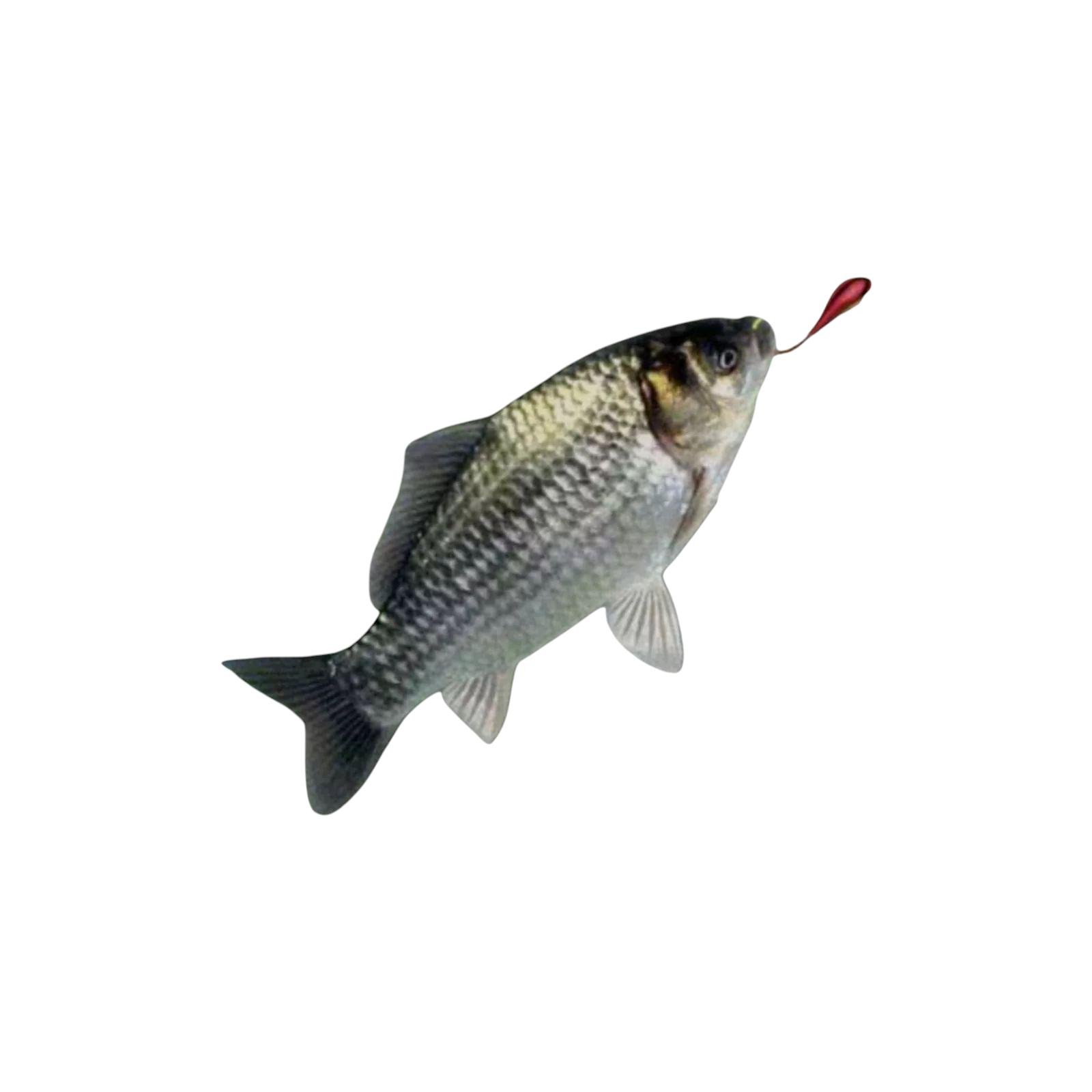 Вудка зимова з бiчним кивком на карася 64 см (W-67) - фото 5 Вудка зимова з бiчним кивком на карася 64 см (W-67) - фото 5