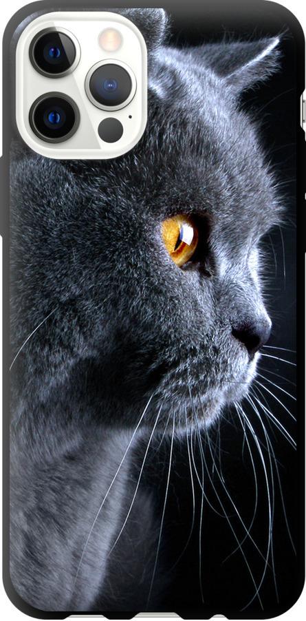 Чехол на iPhone 12 Pro Красивый кот (3038b-2052-42517)