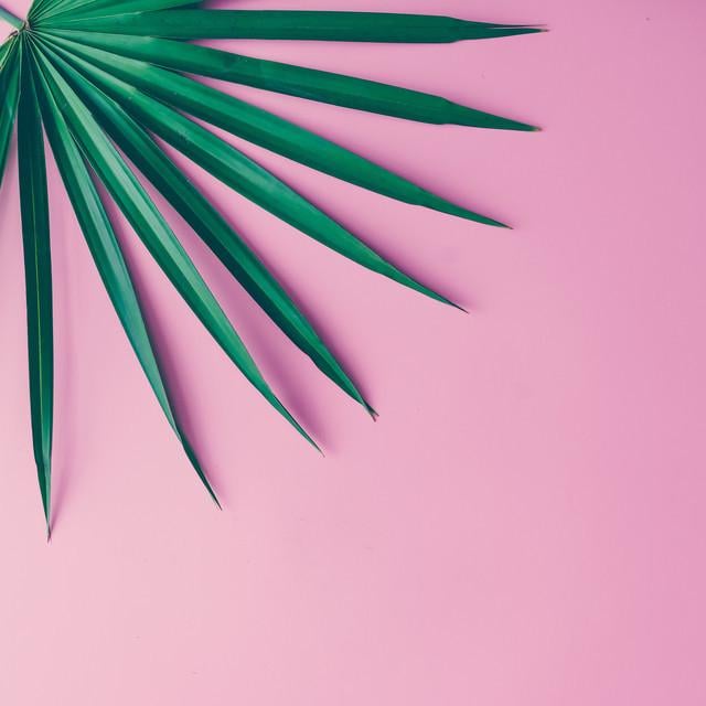 Фотофон вініловий 140x140 см Frontlit 450 г/м2 №55125