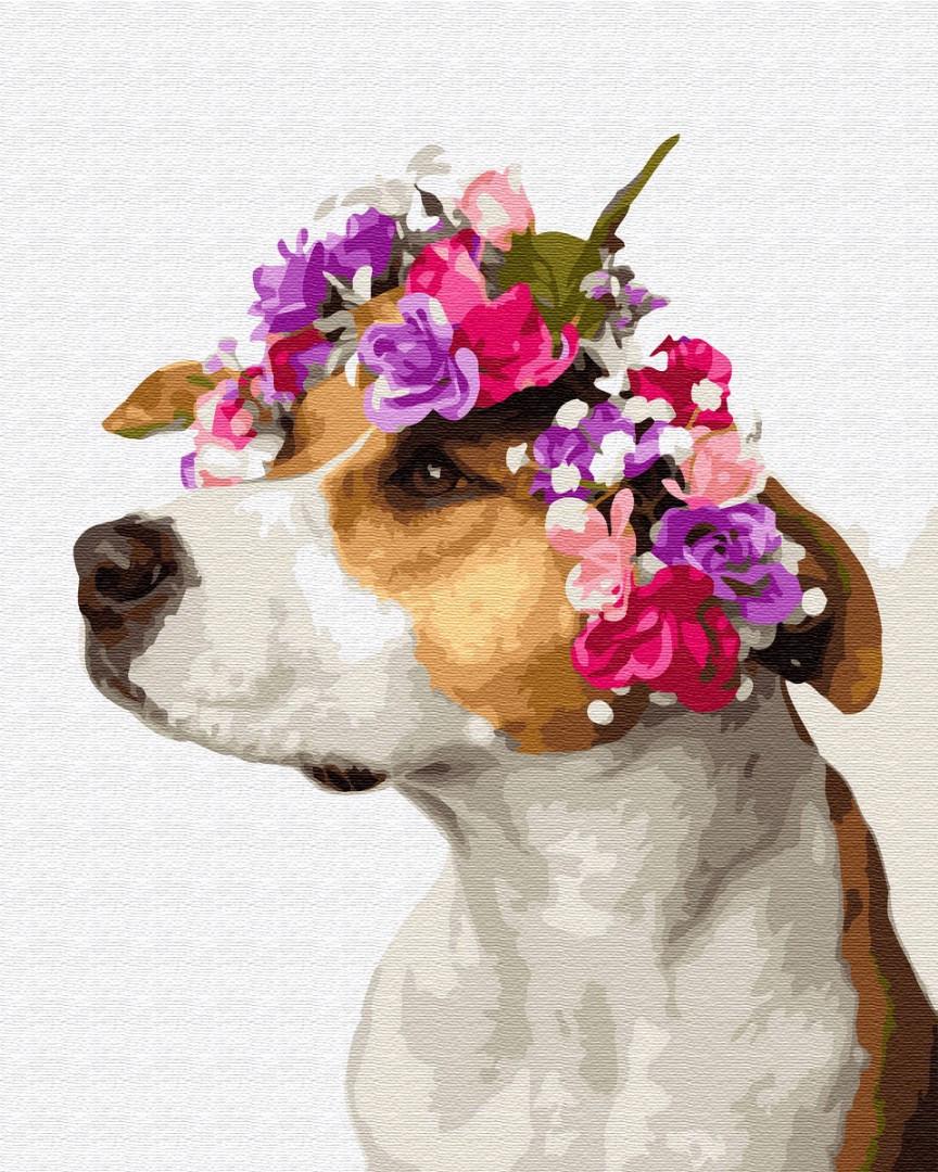 Картина за номерами Brushme PGX34809 Собачка у віночку 40x50 см (1216393589) Картина за номерами Brushme PGX34809 Собачка у віночку 40x50 см (1216393589)