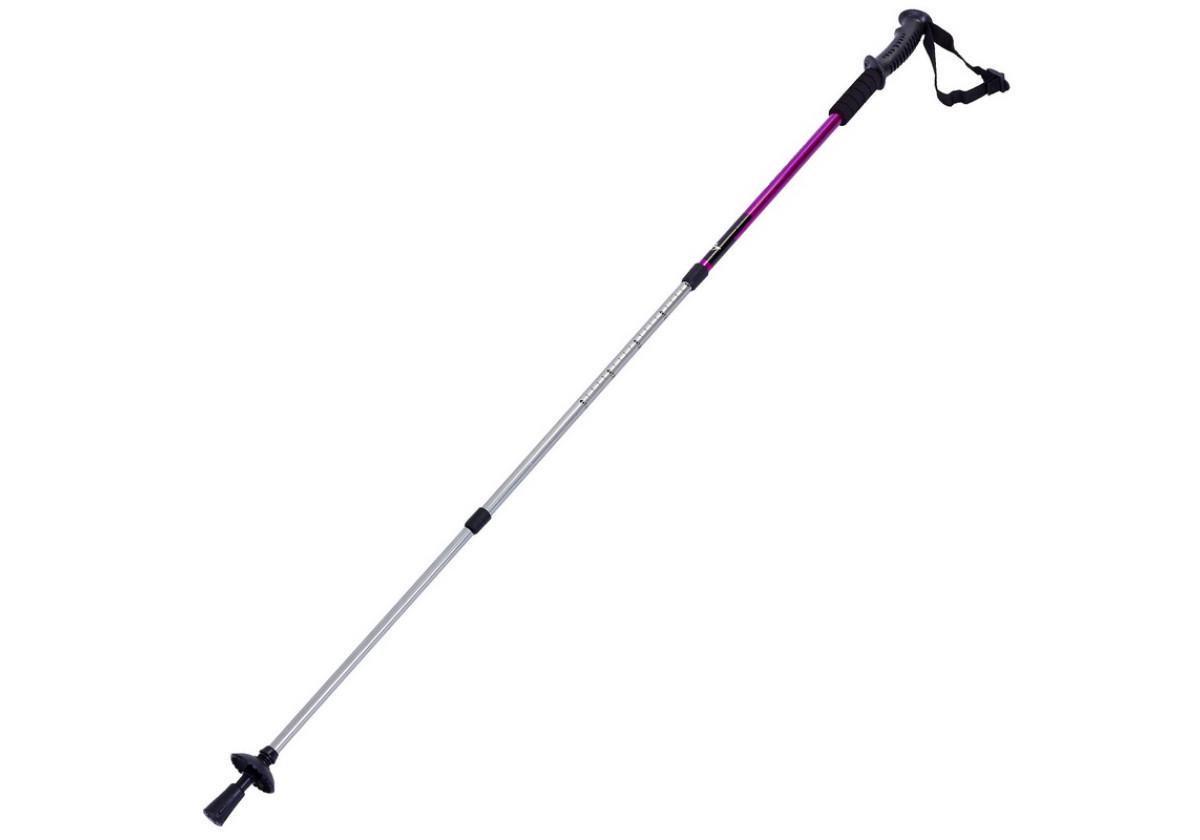 Палиця для скандинавської ходьби EasyFit SKY ROAD Фіолетовий (EF-2471-V) - фото 5