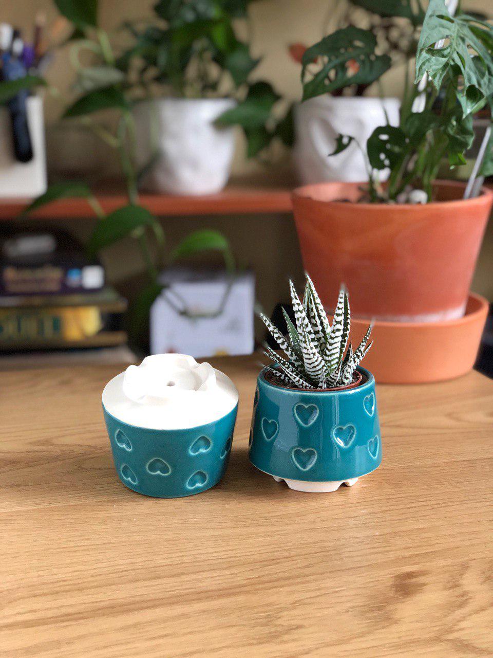 Керамический горшок для суккулентов Mini Plant 6,3х6,4см Арт Сердечки Бирюзовый - фото 2 Керамический горшок для суккулентов Mini Plant 6,3х6,4см Арт Сердечки Бирюзовый - фото 2