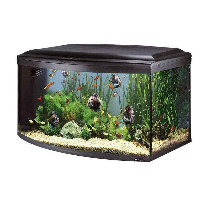 Аквариум Ferplast Cayman 110 Scenic 300 л 110х55х61,5 см (65112117)