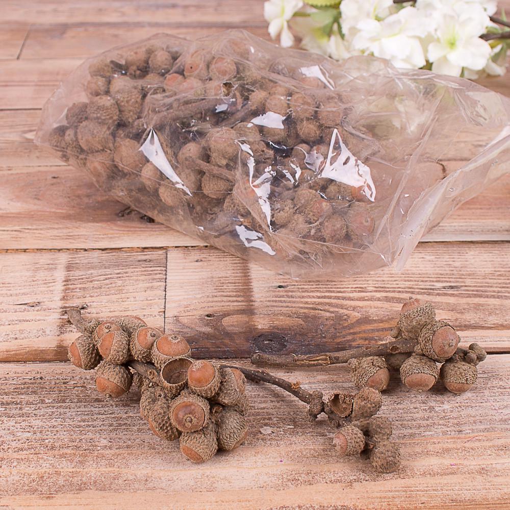 Натуральные желуди в упаковке 250 г (2093)