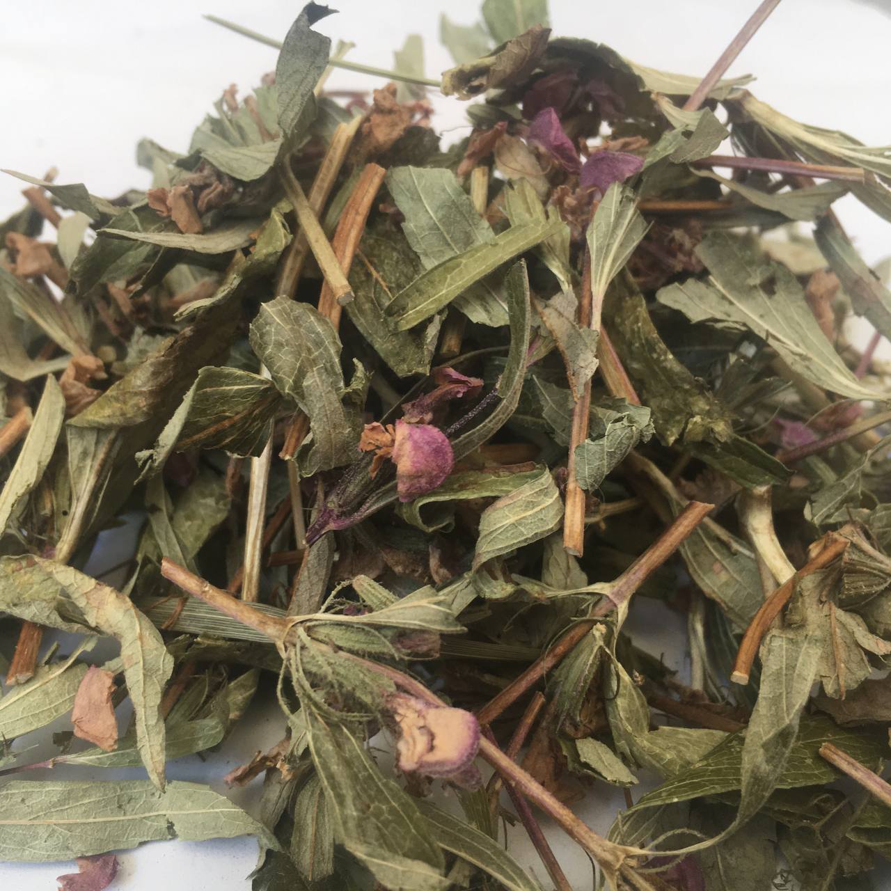 Железняк колючий трава Карпаты 50 г (628f2b53ddd21078c62b9d92)