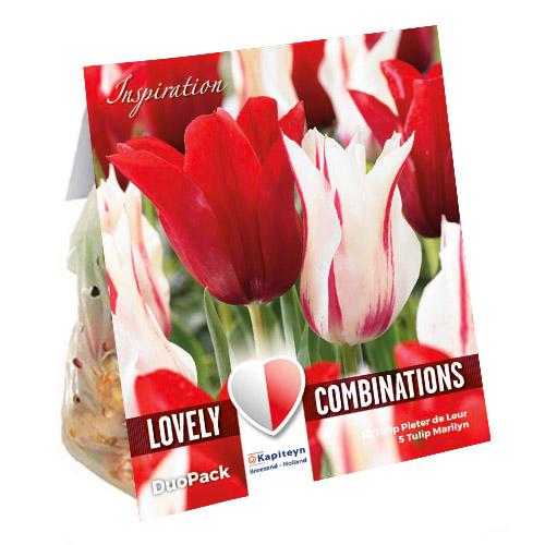 Тюльпан Floriumы комбо Duopack Lilyflowering Red/White (15248) Тюльпан Floriumы комбо Duopack Lilyflowering Red/White (15248)