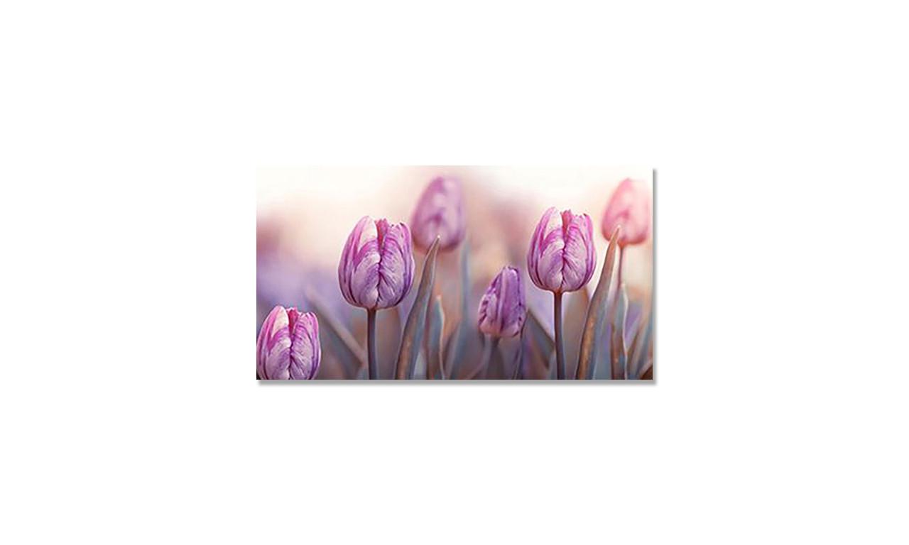 Наклейка виниловая на стол Zatarga Утро и Тюльпаны 650х1200 мм (1274515509) Наклейка виниловая на стол Zatarga Утро и Тюльпаны 650х1200 мм (1274515509)