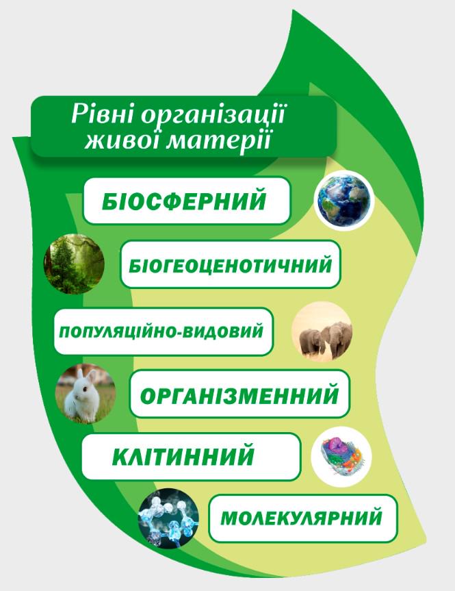 Стенд для учебных заведений "Жива Матерія" 510х700 мм (КВ0002)