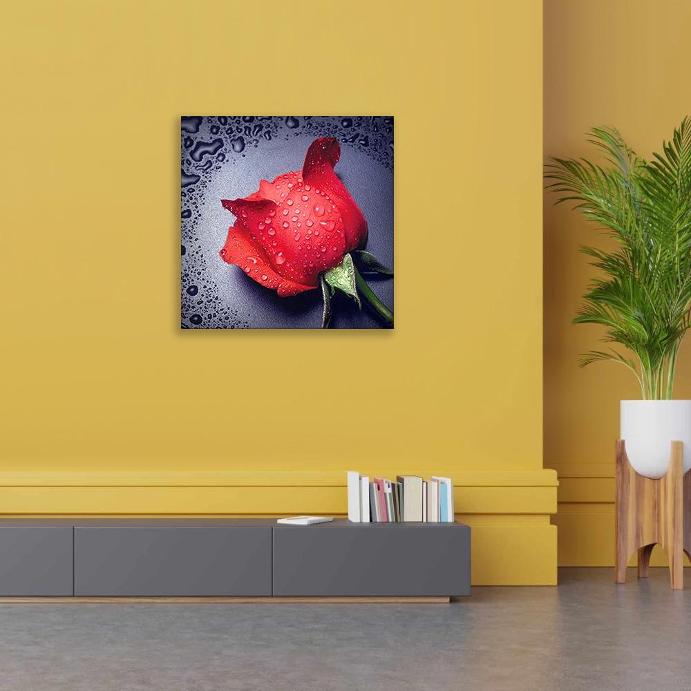 Алмазная мозаика Утренняя роза 30x30 см (27231) Алмазная мозаика Утренняя роза 30x30 см (27231)