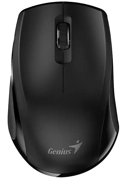 Миша GENIUS NX-8006S USB-C Compact Ergonomic бездротова Чорний (UG-31030036400)