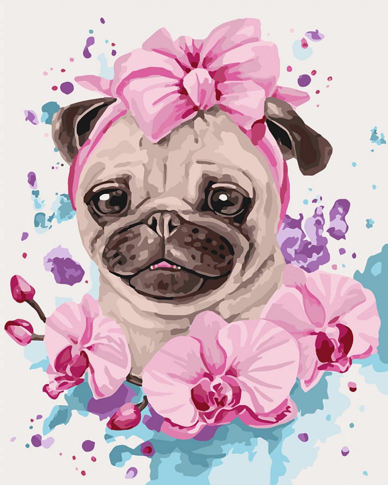 Картина за номерами Ідейка "Домашня улюблениця" 40х50 см (KH4133)