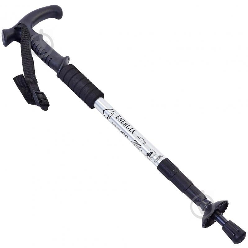 Палка треккинговая planeta-sport для скандинавской ходьбы TY-2915-2 ENERGIA l-55-110см Серебряный