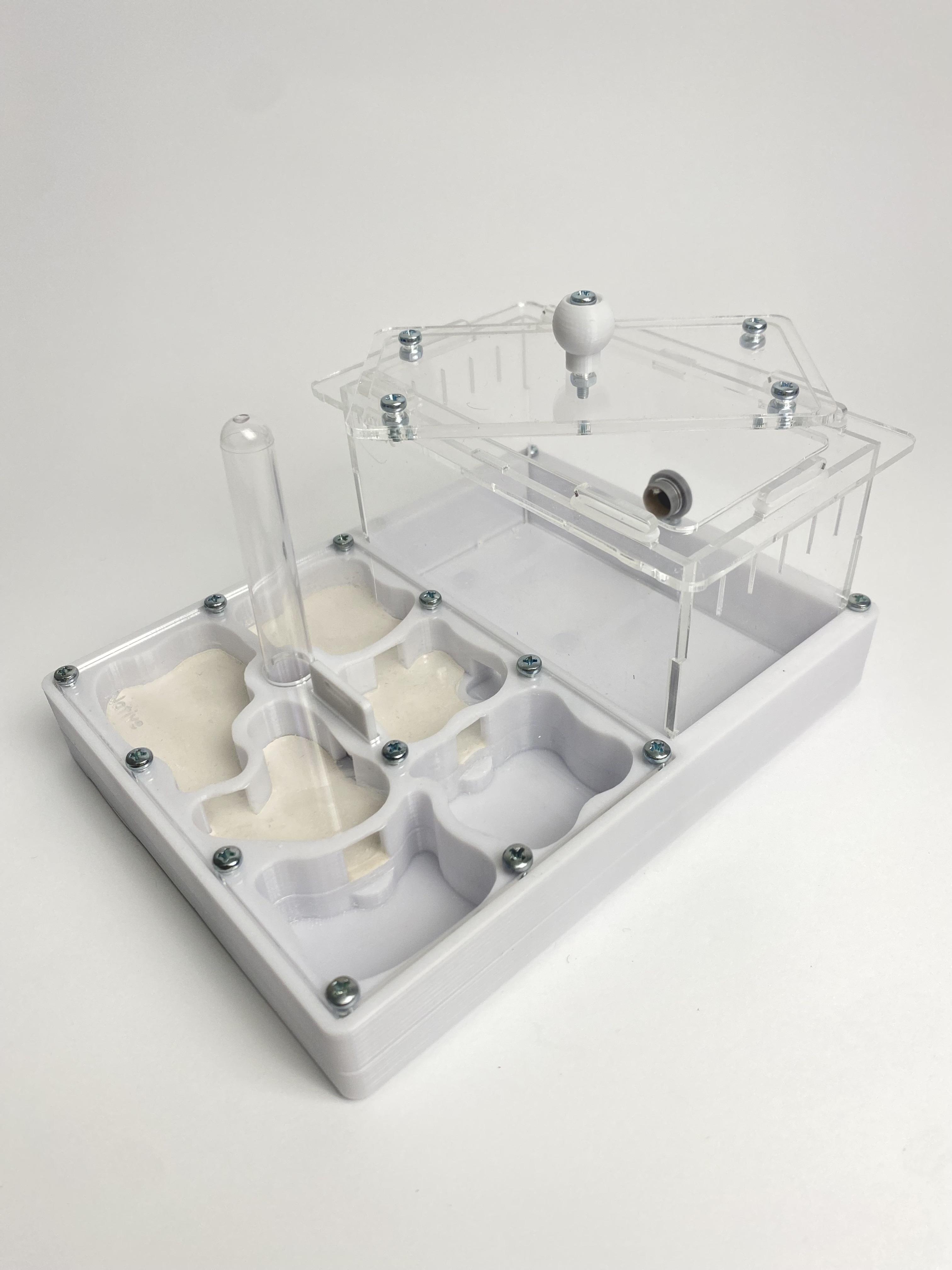 Муравьиная ферма с ареной Формикарий "Стандарт" 12х16 см не токсичная PLA Белый (2530984116)