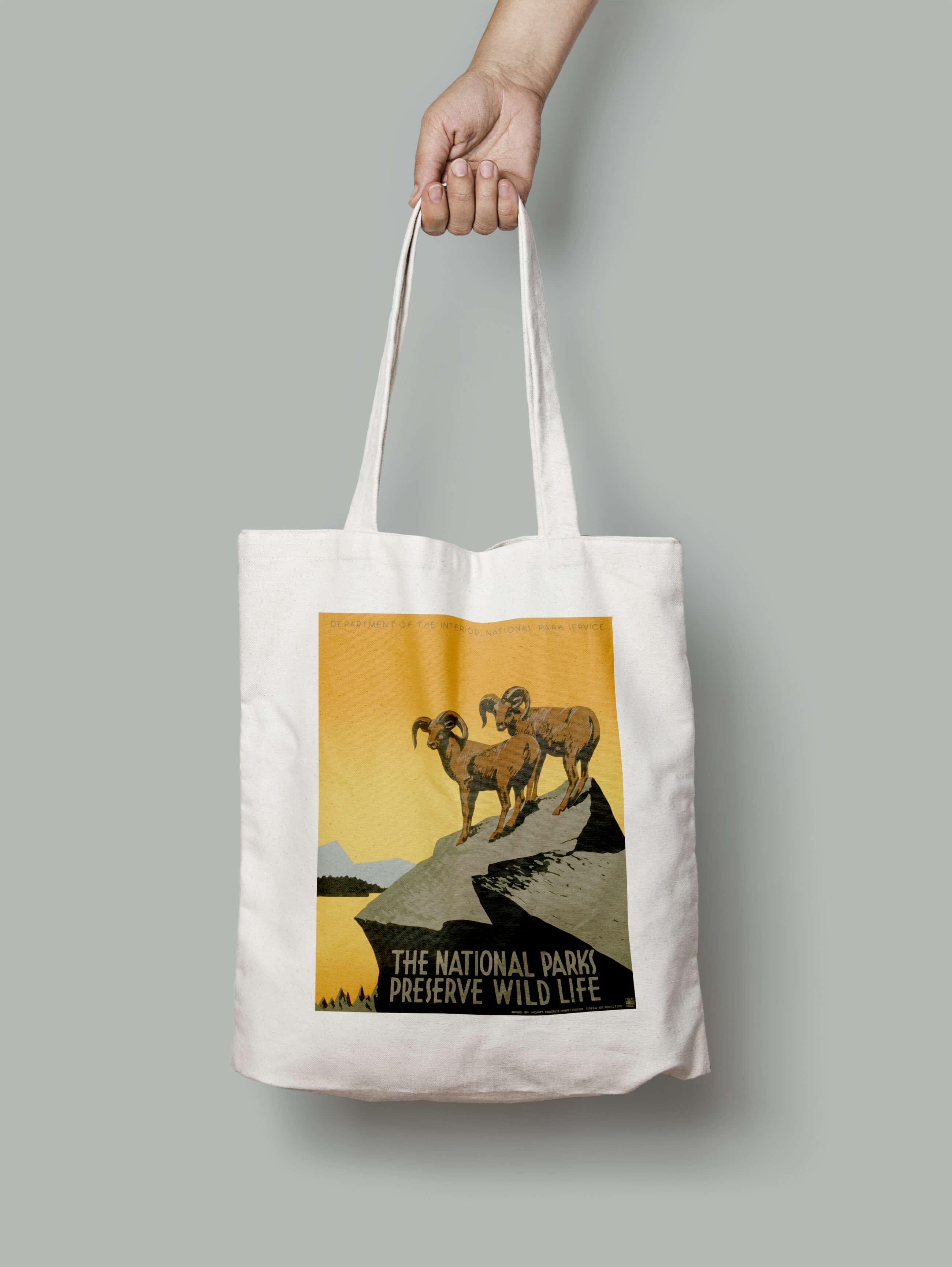 Эко-сумка Два барана на камнях шопер (national_parks_america_usa_Bag)