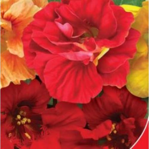 Семена цветов GL Seeds Настурция Красоля Драгоценность 1 г (GL-1012)