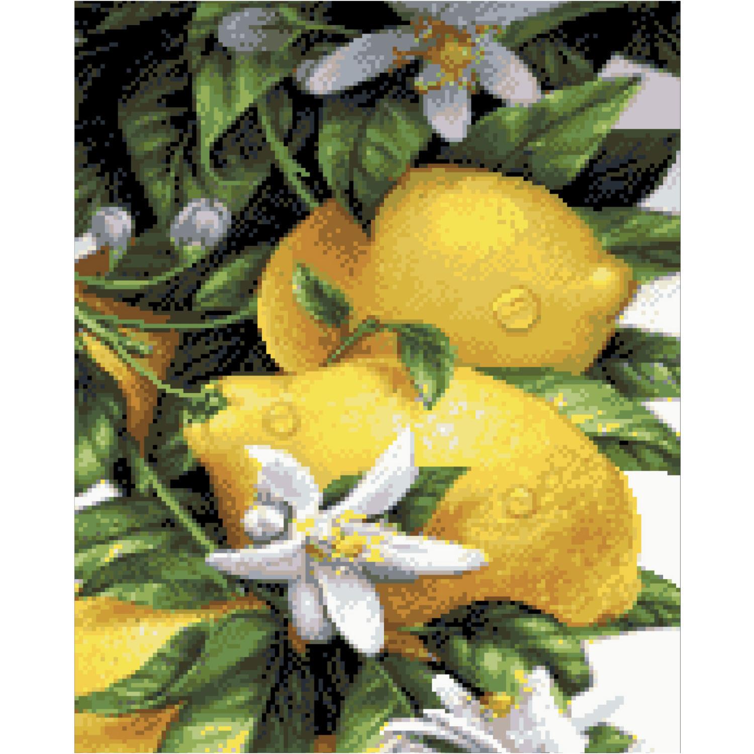 Алмазная мозаика Strateg Премиум Лимоны 40x50 см (FA40869)