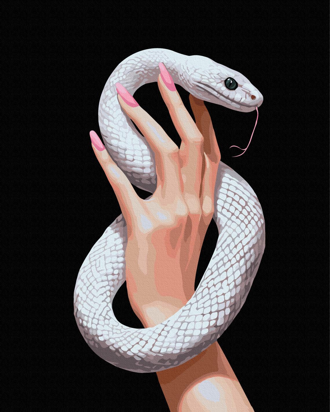 Картина за номерами Brushme Зміїна грація 40x50 см (BSB0049)