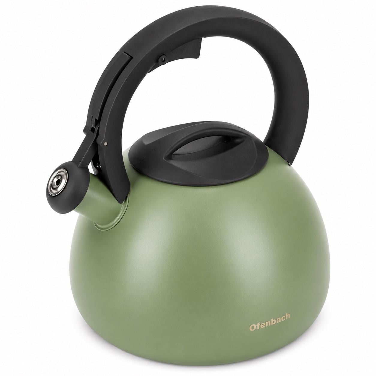 Чайник со свистком Ofenbach Green 2,7л из нержавеющей стали (100323)
