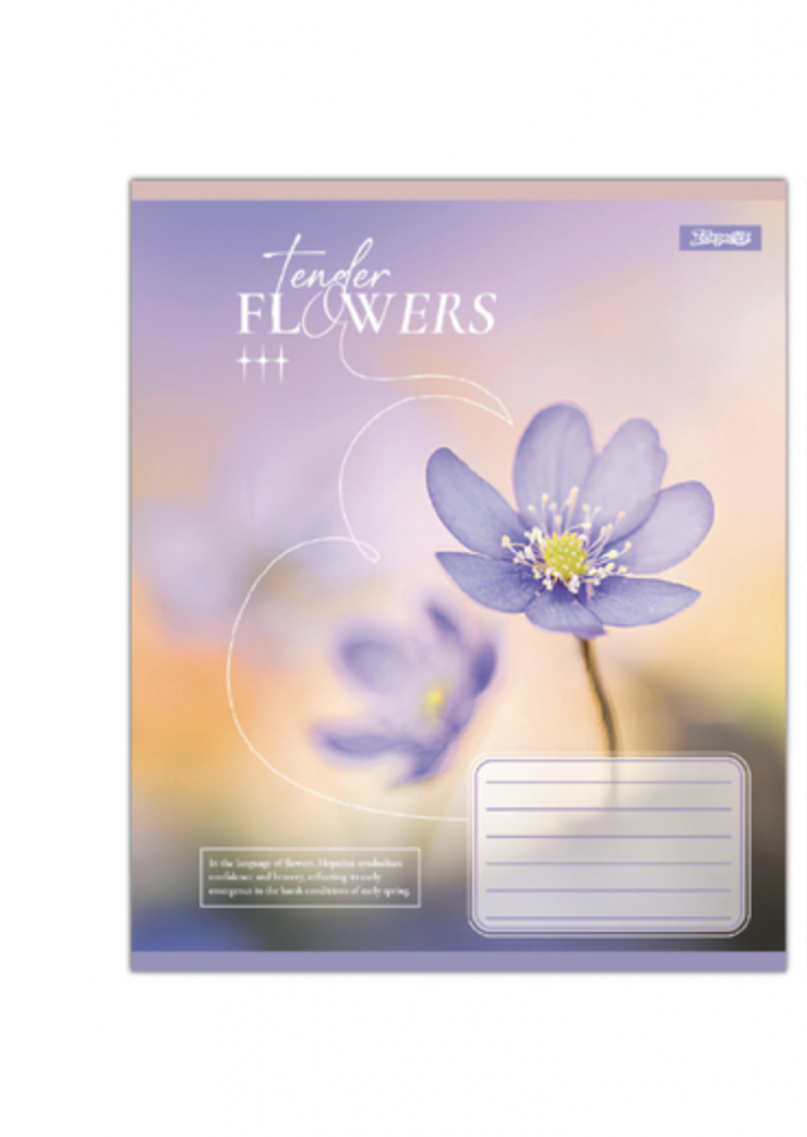 Зошит учнівський 1B Tender Flowers А5/18 кл. (768074)