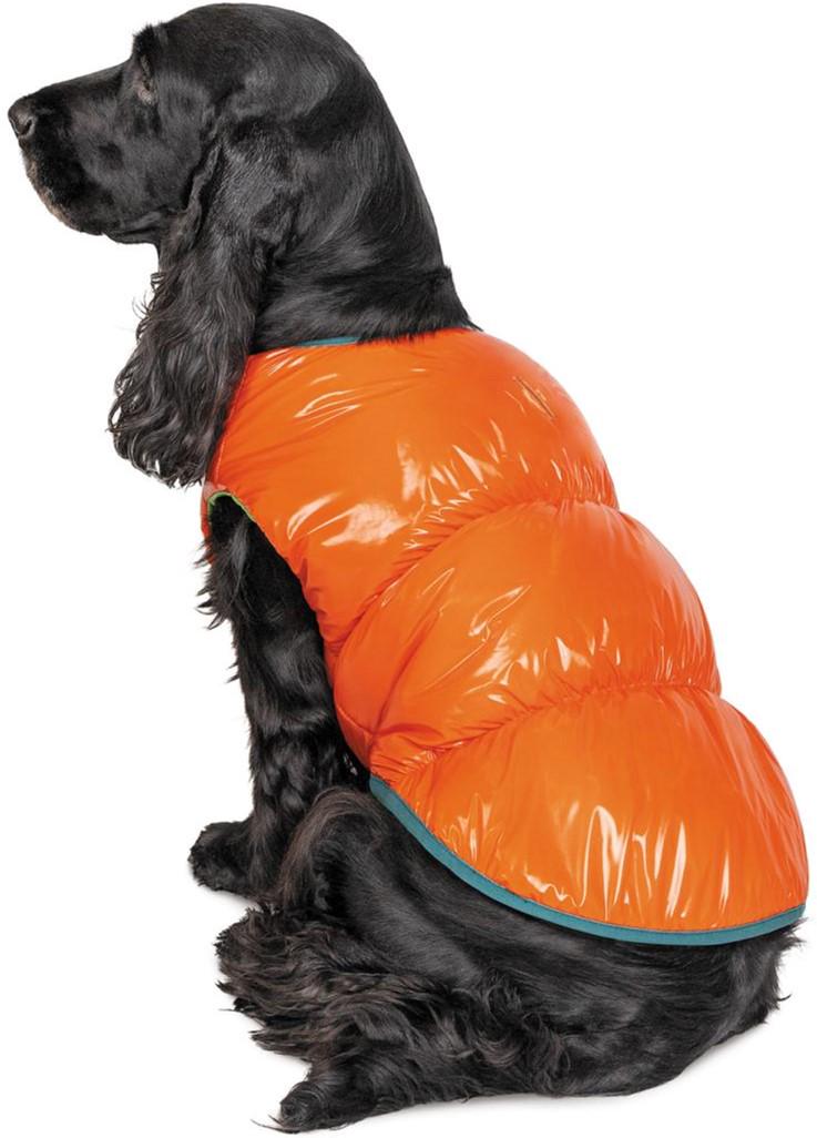 Жилет для собак Pet Fashion SPRING М Оранжевый (4823082420483)