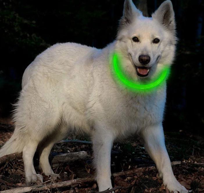 Ошейник для собак и кошек LED водостойкий с зарядкой USB 45 см Зеленый (ST0240) - фото 4 Ошейник для собак и кошек LED водостойкий с зарядкой USB 45 см Зеленый (ST0240) - фото 4