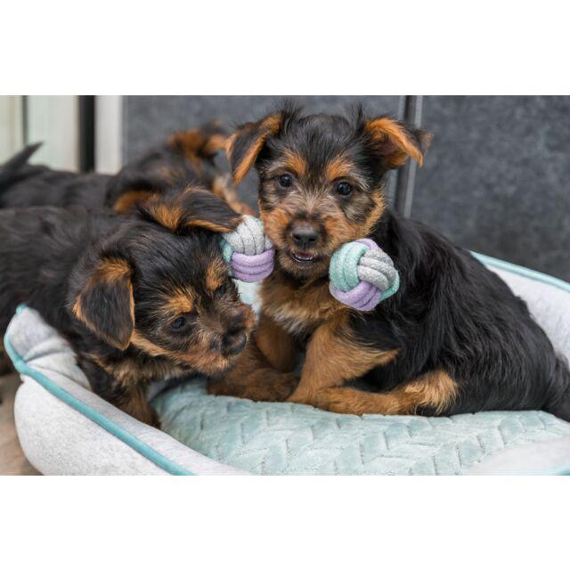 Игрушка Trixie Junior гантель веревочная для щенков 15 см (TX-32811) - фото 4 Игрушка Trixie Junior гантель веревочная для щенков 15 см (TX-32811) - фото 4